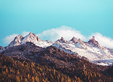 金沙乐娱场app：开启全新娱乐体验的智能选择